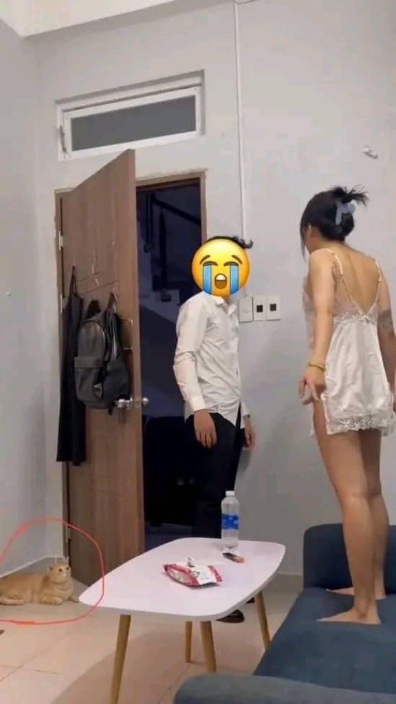 alessaoncrypto's tweet image. mengamati masalah