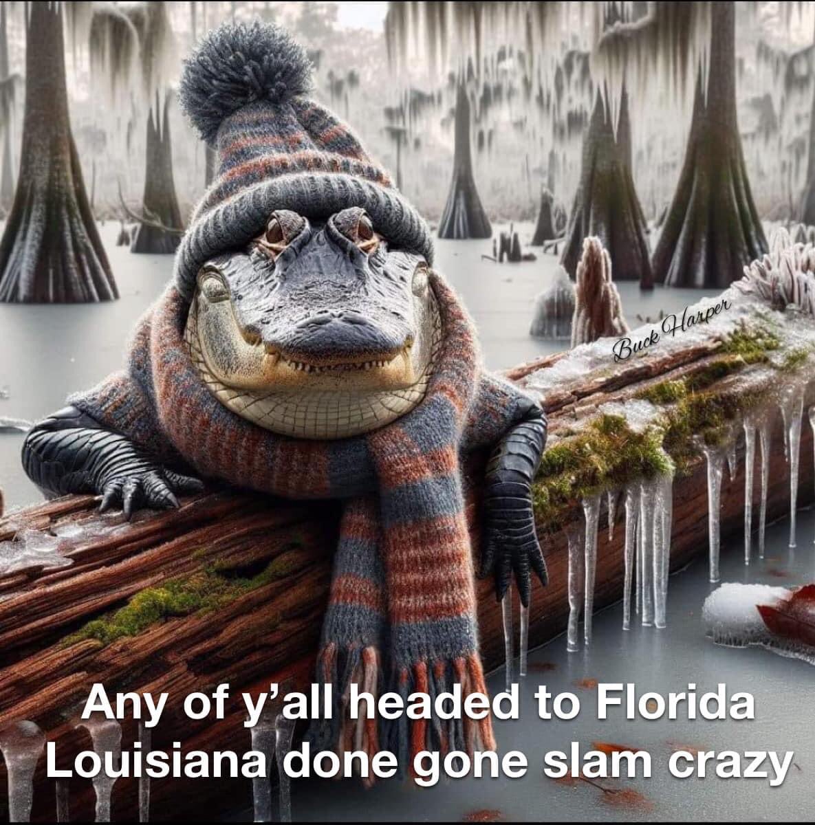 John Guillory C’mon Ca Va 💜💛Lsu🐯🖤💛Saints⚜️ (@kajunjon) on Twitter photo 