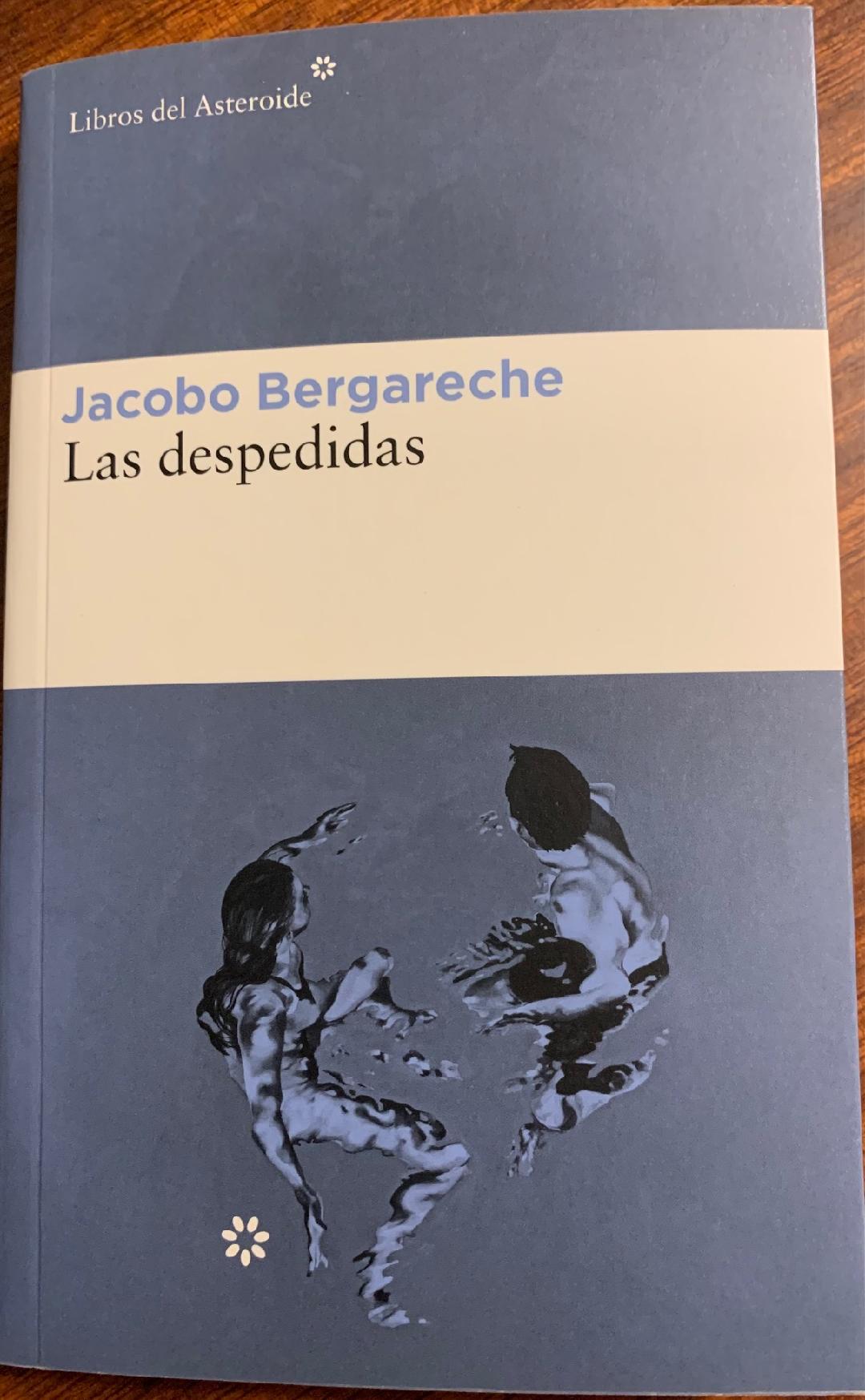 Eduardo Madinaveitia on X: #LecturasdeMadinaED Las despedidas, de Jacobo  Bergareche. Una novela corta, pero muy intensa. Las despedidas tienen que  ser cortas. Un encuentro casual con una mujer con la que estuvo