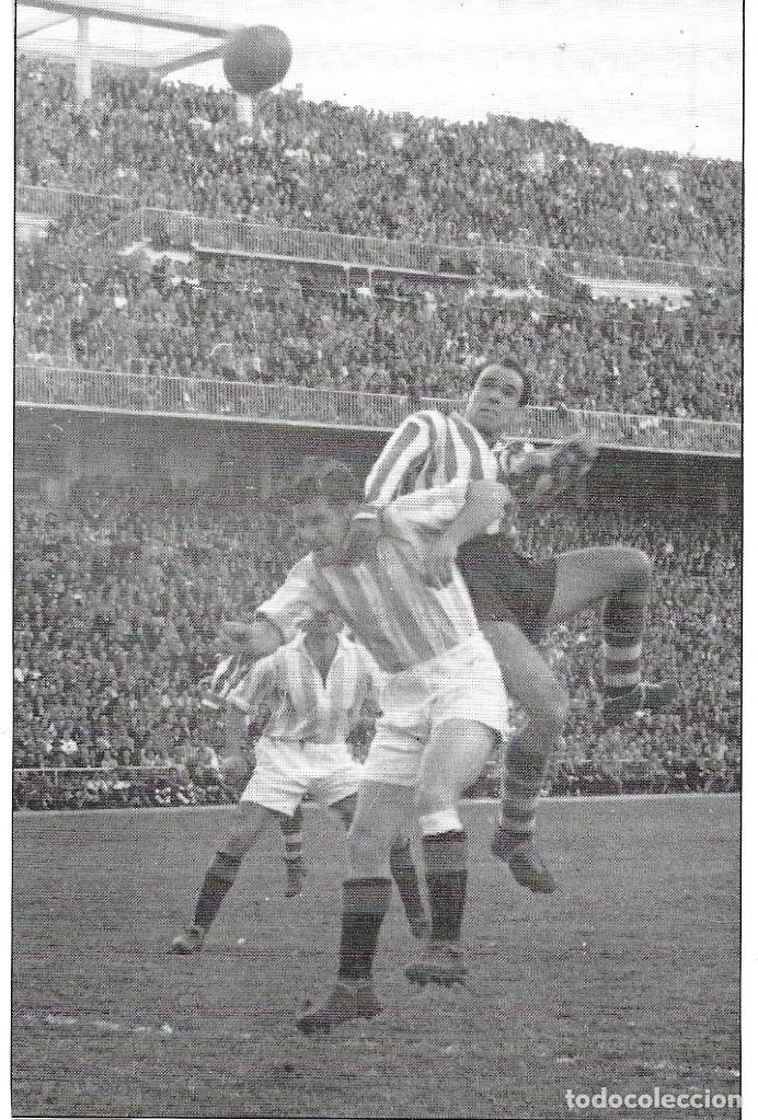 AthleticTxistu's tweet photo. Don Telmo Zarra nació en Munguía #UnDiaComoHoy de 1921. El goleador más grande de todas las épocas. 

¡¡Allí donde esté, Zorionak León!!

#ZarraEsDios https://t.co/Lrrf4auv7f