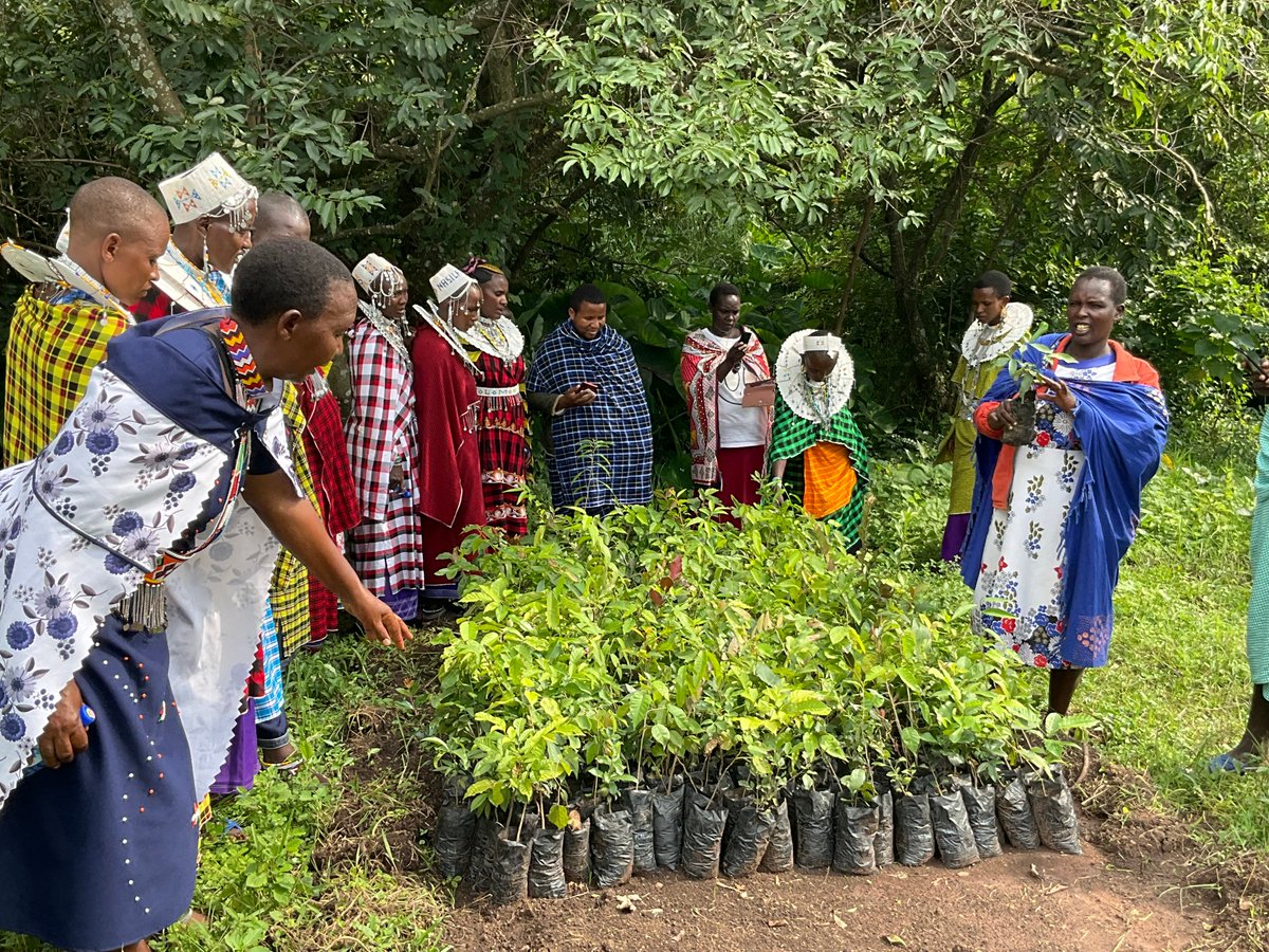 Indigenous Information Network tweet media