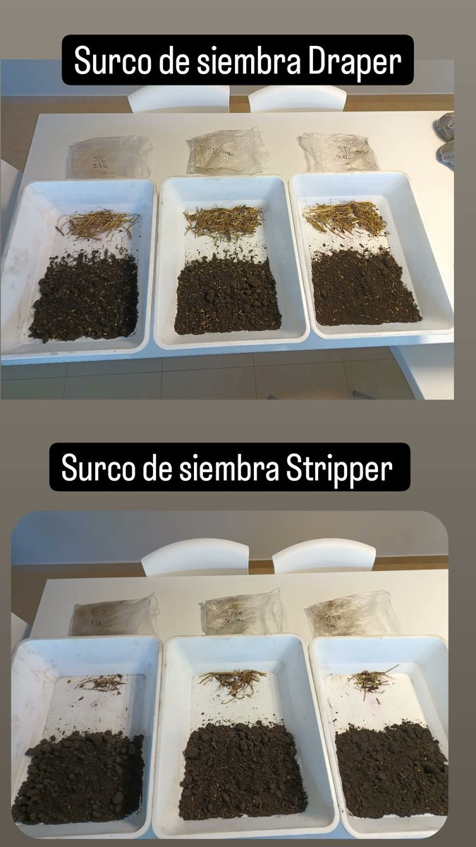 Santiago Tourn tweet media