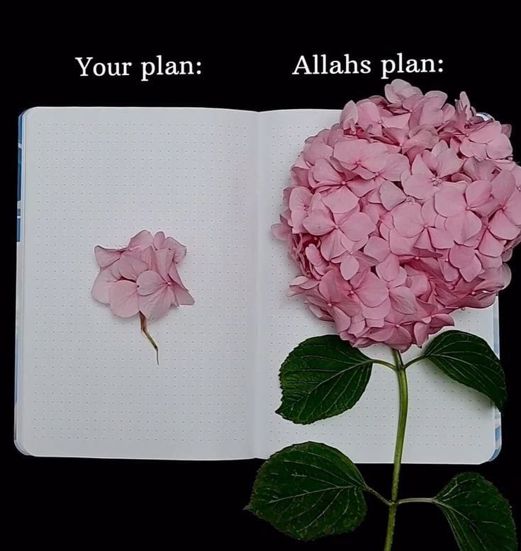 Allah’s plan is better than your deepest desire.