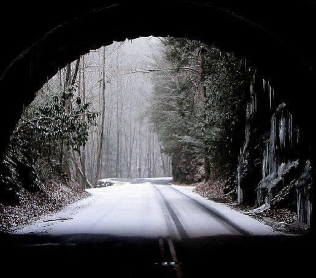 ARealLogCabin's tweet photo. Go for a drive through a serene wonderland. 🏔️ Embark on your journey to Sevierville today. ➡️ https://t.co/f3WhhGYbo2

📸 Olin Gilbert

#vacationrental #vrbo #logcabin #tennessee #sevierville #supportlocal #smokymountains #cabin #vacation https://t.co/K0cfyHxrWP