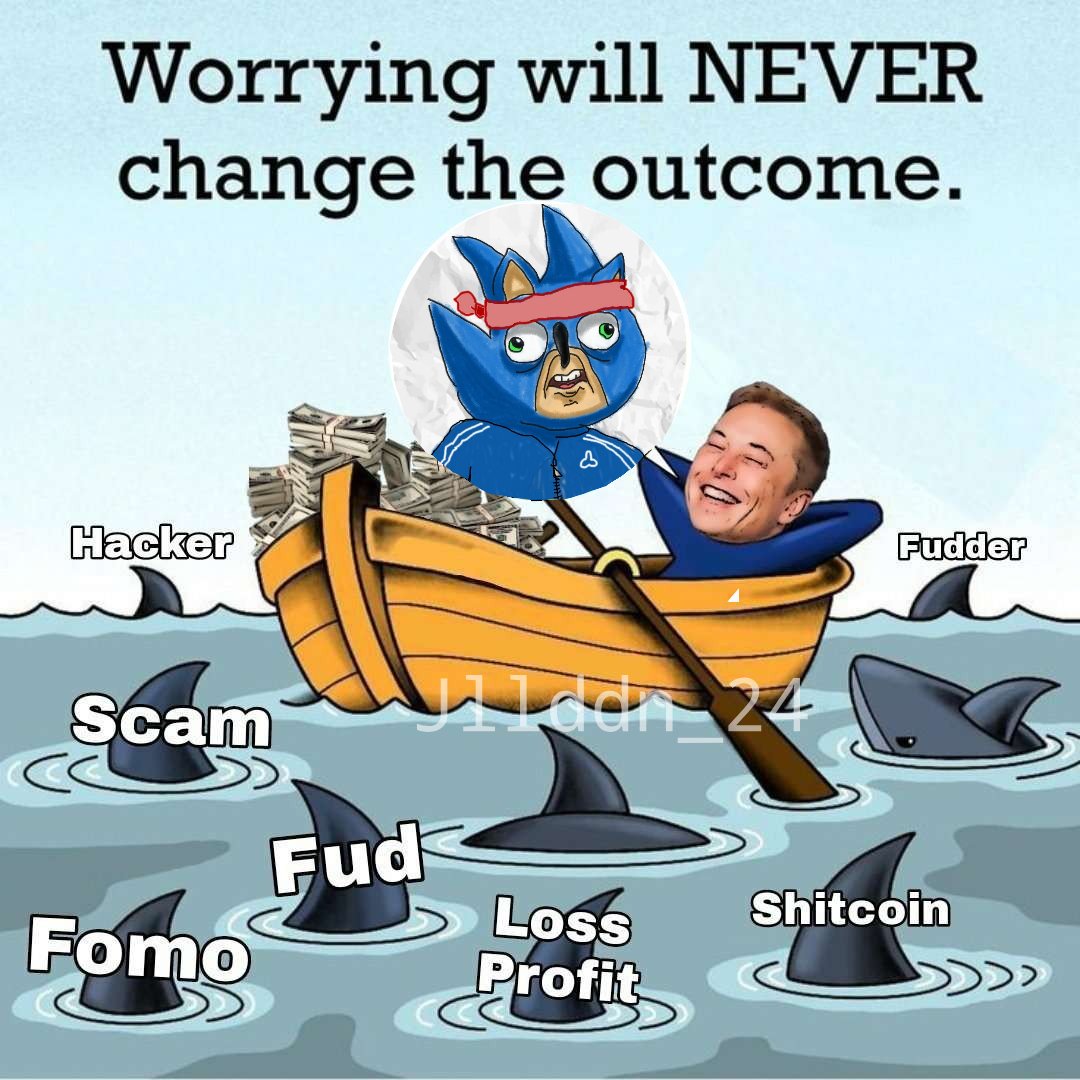 Kuma yarisi 🦝 tweet media