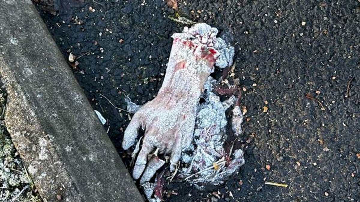 Hand it to the police! Officers called to busy road over report of dismembered hand find out it is a lifelike prop trib.al/mSoFMUF