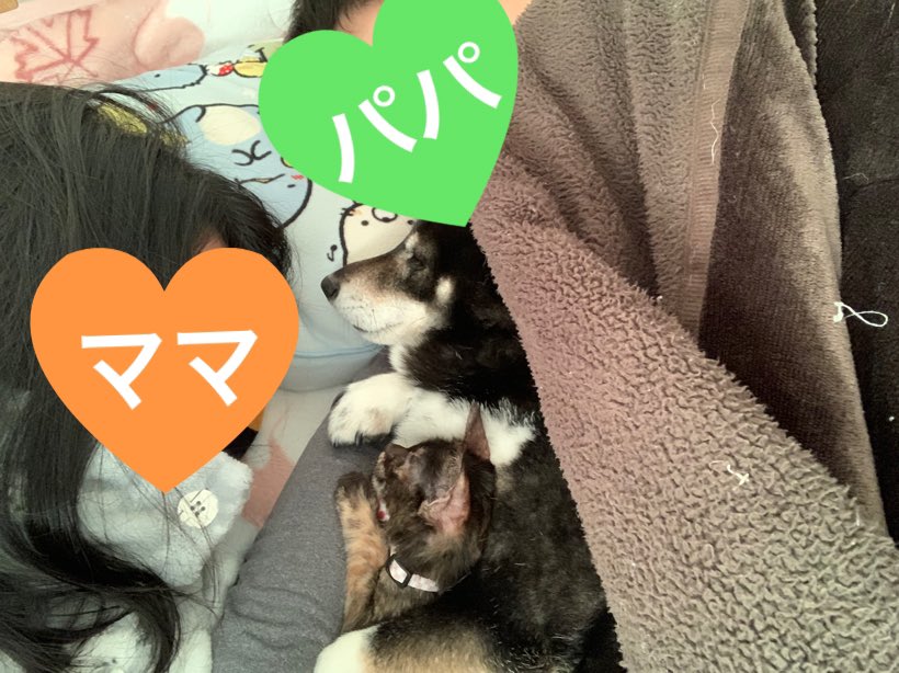 1001Lieben's tweet photo. 可愛いねぇ♡ https://t.co/arS8n0Byez