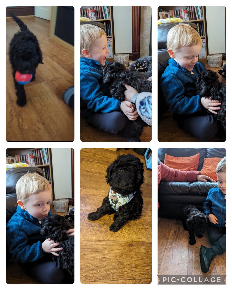 MummyLalaC's tweet photo. Hi @Robbie_Inspire, Elijah would like you to meet his new bestie - Robbie Jnr 🥰🤣🤣 @MissHadfield1 @MrsHopwoodTA @mrsrhodes1104 @Inspire_Ashton https://t.co/17PyDkfvgh