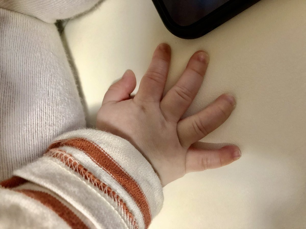 ___1211ss's tweet photo. Nissyに、にぎにぎぷにぷにされた
お手手はこちらです🖖🏻🧡

大物になれよ🥳☝🏻 https://t.co/JwMQSch3gP
