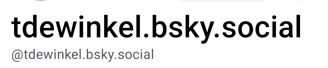 tdewinkel tweet media