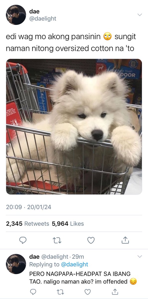 odetomfal's tweet image. a #nohyuck filo au.