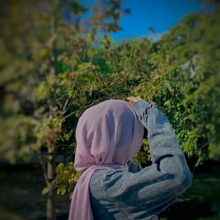 Aishappq tweet picture