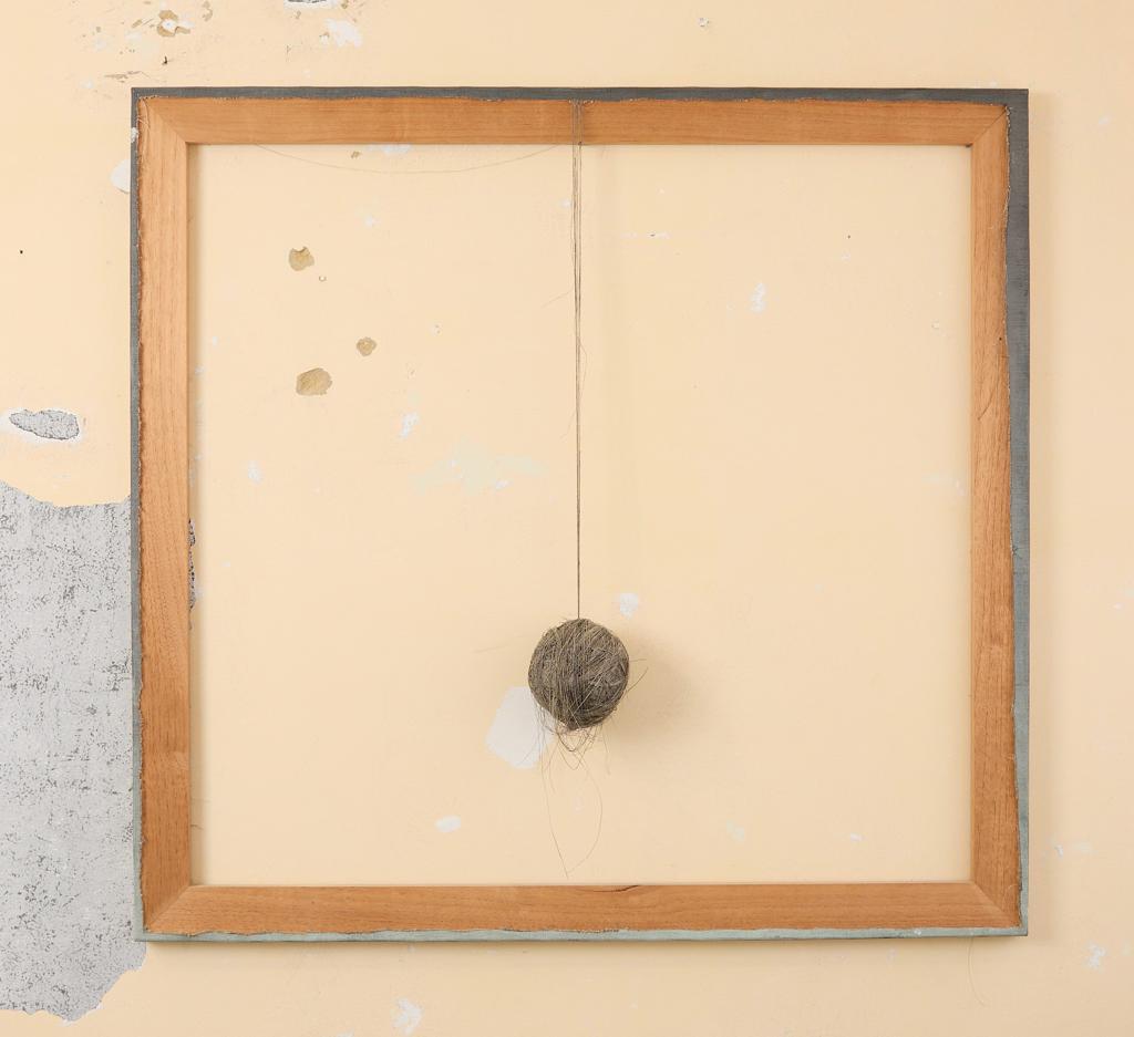 saloncomunal's tweet photo. La obra de Mateo Cohen no es -nunca lo fue- sobre Entropía ni sobre Deconstrucción. Es una obra que insiste en transferirnos un sentido poético del presente, una lección de frescura, pero, como la flores, se marchitan al contacto humano.  Fernando Uhía https://t.co/L0n8LPl7rc