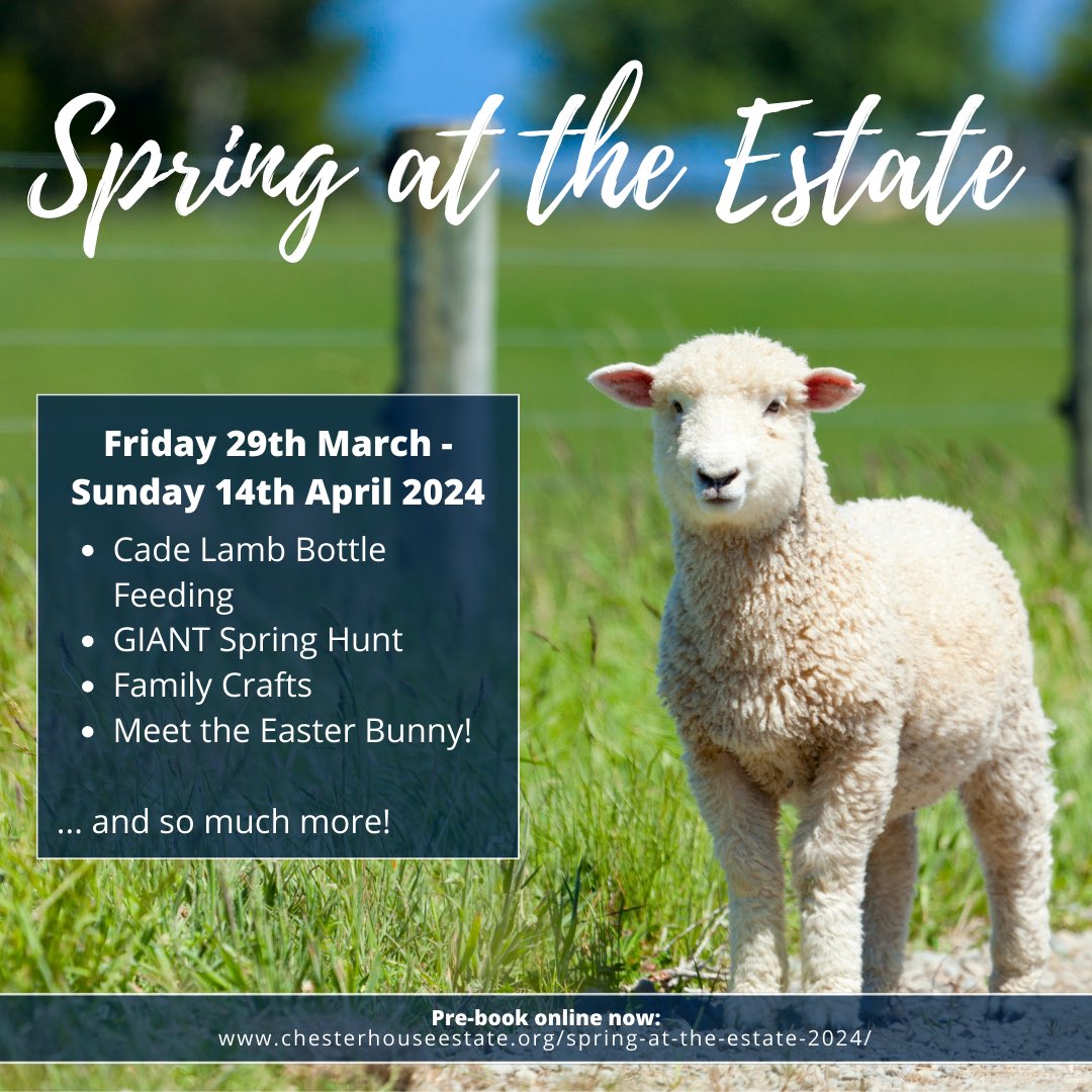 Spring at the Estate is back for 2024!‼️🐑 Book your tickets today to ensure you don’t miss out on all the fun - chesterhouseestate.org/spring-at-the-… #SpringFun #SpringattheEstate #DontMissOut #Northamptonshire