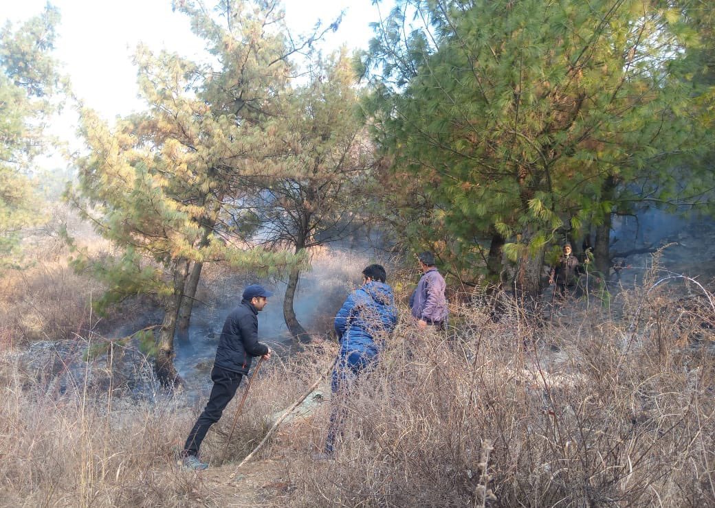 #PublicAdvisory on #ForestFires 

#KULGAM DISTRICT! 

Due to prolonged dry weather spell this season,  the risk of fire incidents especially the forest fires has severely increased. Many such incidents have been reported from Nagnard Chimmer, Ringath Khull Zradoo, Chambgund,