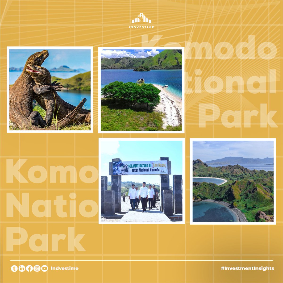 Discover the thrilling world of Komodo in their natural habitat! Only in Indonesia you can witness these majestic creatures up close. Ready to embark on an unforgettable adventure?  #KomodoIsland #IndonesiaTourism #WildWorldWonders
#indvestime