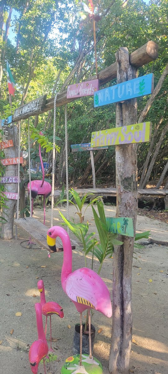 Bitcoin Yucatan (@bitcoinyucatan) on Twitter photo We have been busy finalizing details for <a href="/OrangeHatterPod/">Orange Hatter</a> retreat here in Yucatan. Reminded by the amazing memories and lifelong friendships we made during #dineromagico 2023. We are grateful to have the opportunity to share our growing Bitcoin community with you all. We have been busy finalizing details for <a href="/OrangeHatterPod/">Orange Hatter</a> retreat here in Yucatan. Reminded by the amazing memories and lifelong friendships we made during #dineromagico 2023. We are grateful to have the opportunity to share our growing Bitcoin community with you all.