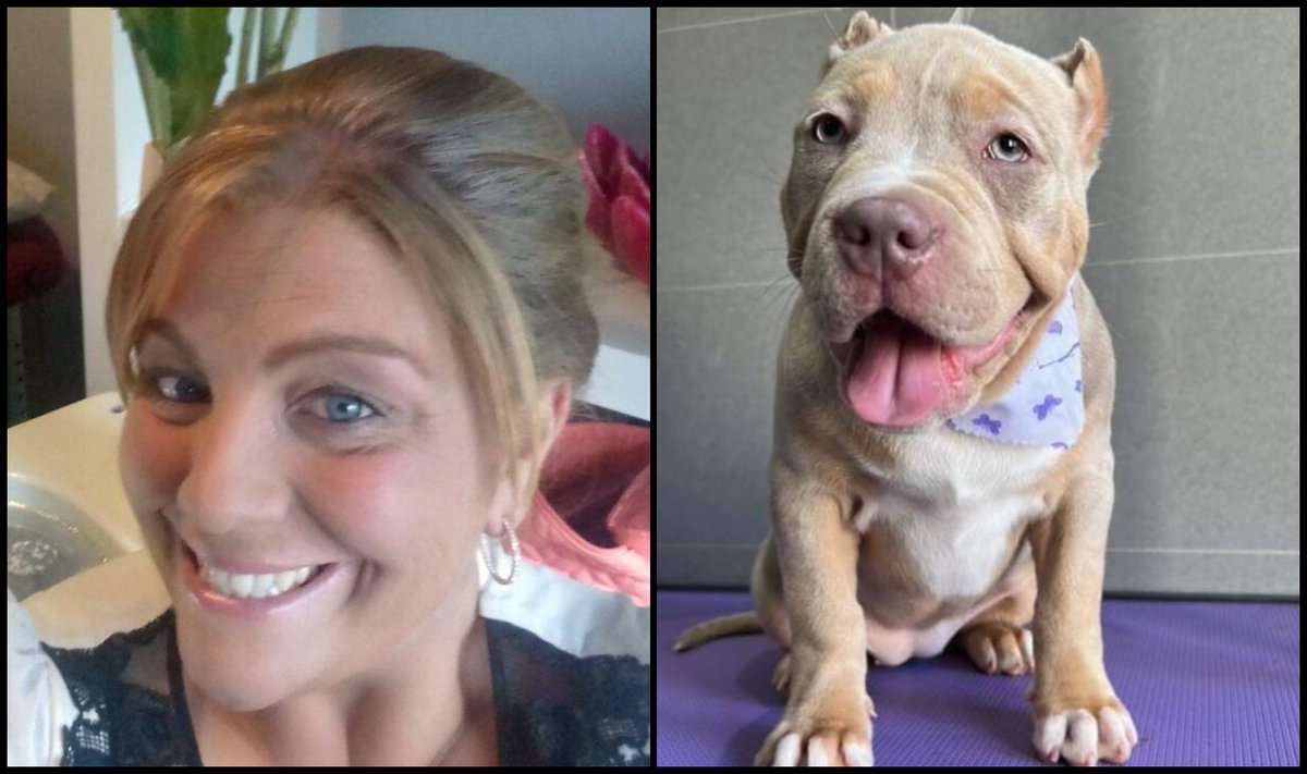 Please retweet, LISA BARRETT, 39, #BLANTYRE #LANARKSHIRE #SCOTLAND FOUND GUILTY OF CRUELLY MUTILATING HER PUPPY'S EARS, £300 FINE, NO BAN ❌ Please report anyone arranging ear cropping (it's illegal in the UK) to the RSPCA or SSPCA. DETAILS 👇 dailyrecord.co.uk/news/scottish-…… #dogs…