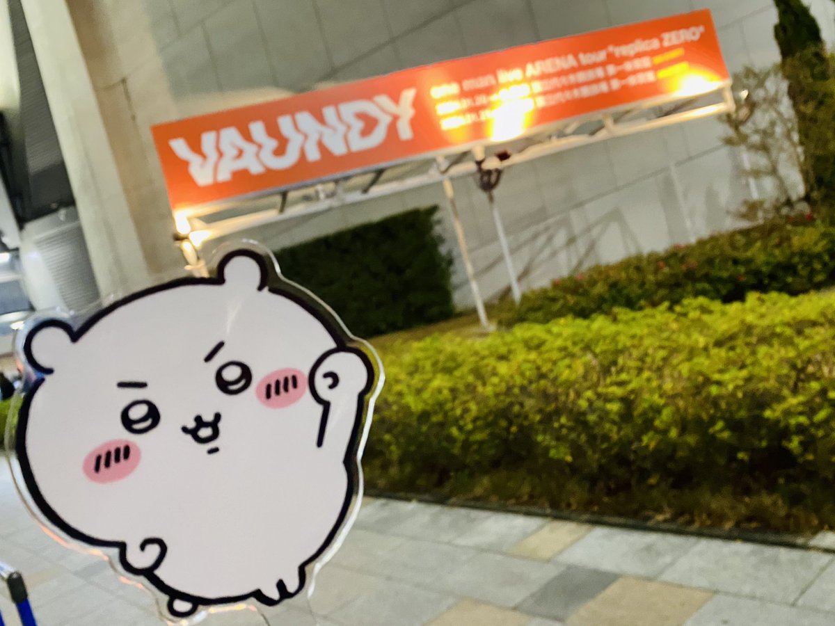 chiigyodon tweet media