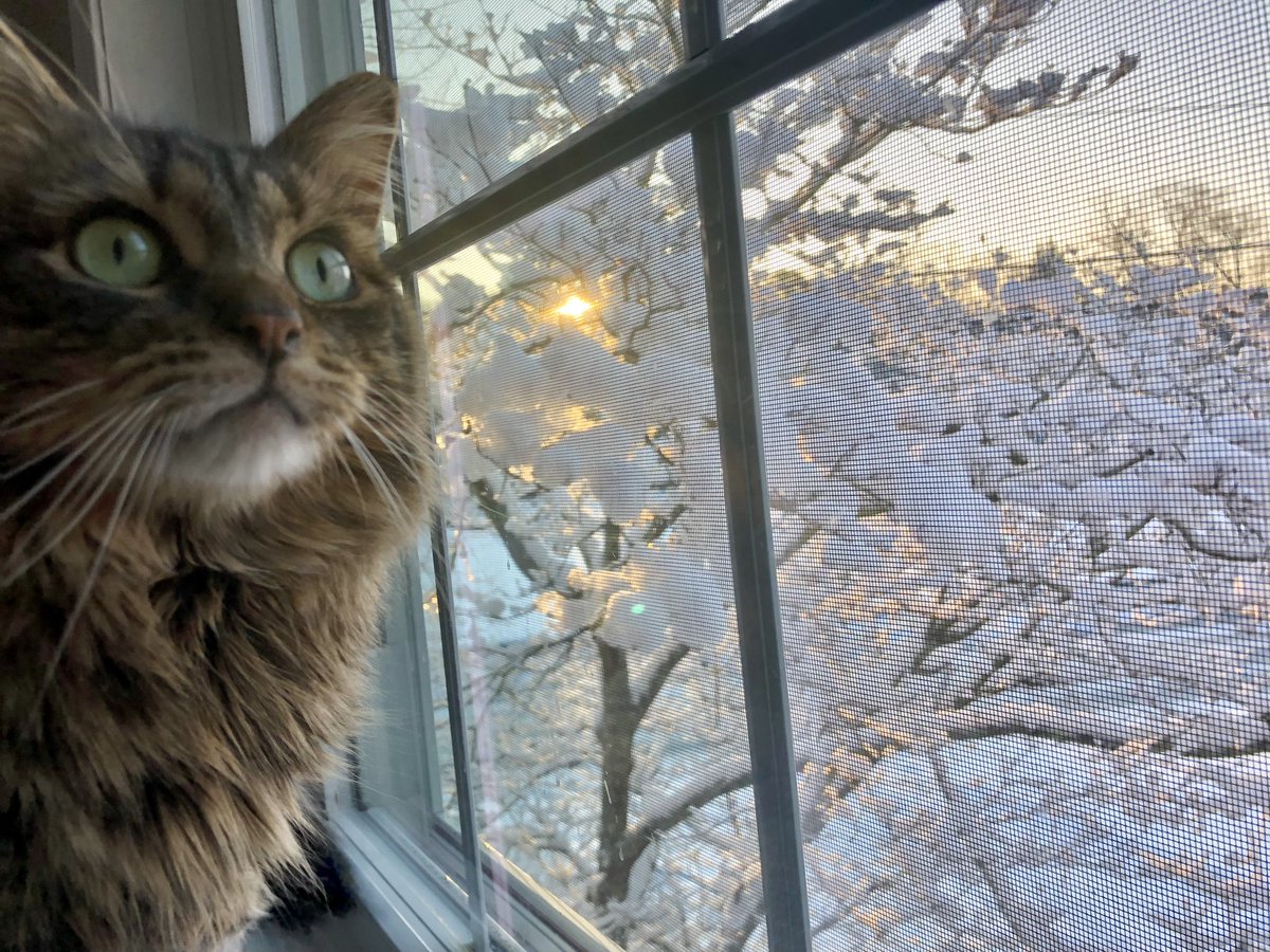 jackie138's tweet photo. Morning views https://t.co/IOadaNgYGw