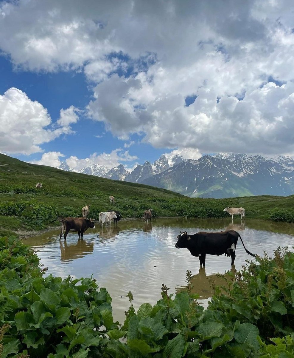 🇬🇪Svaneti.Georgia🥰