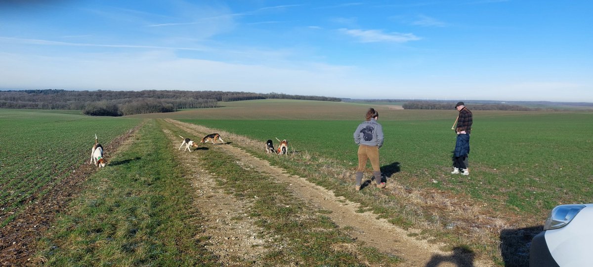 Départ pour la chasse au lièvre à courre