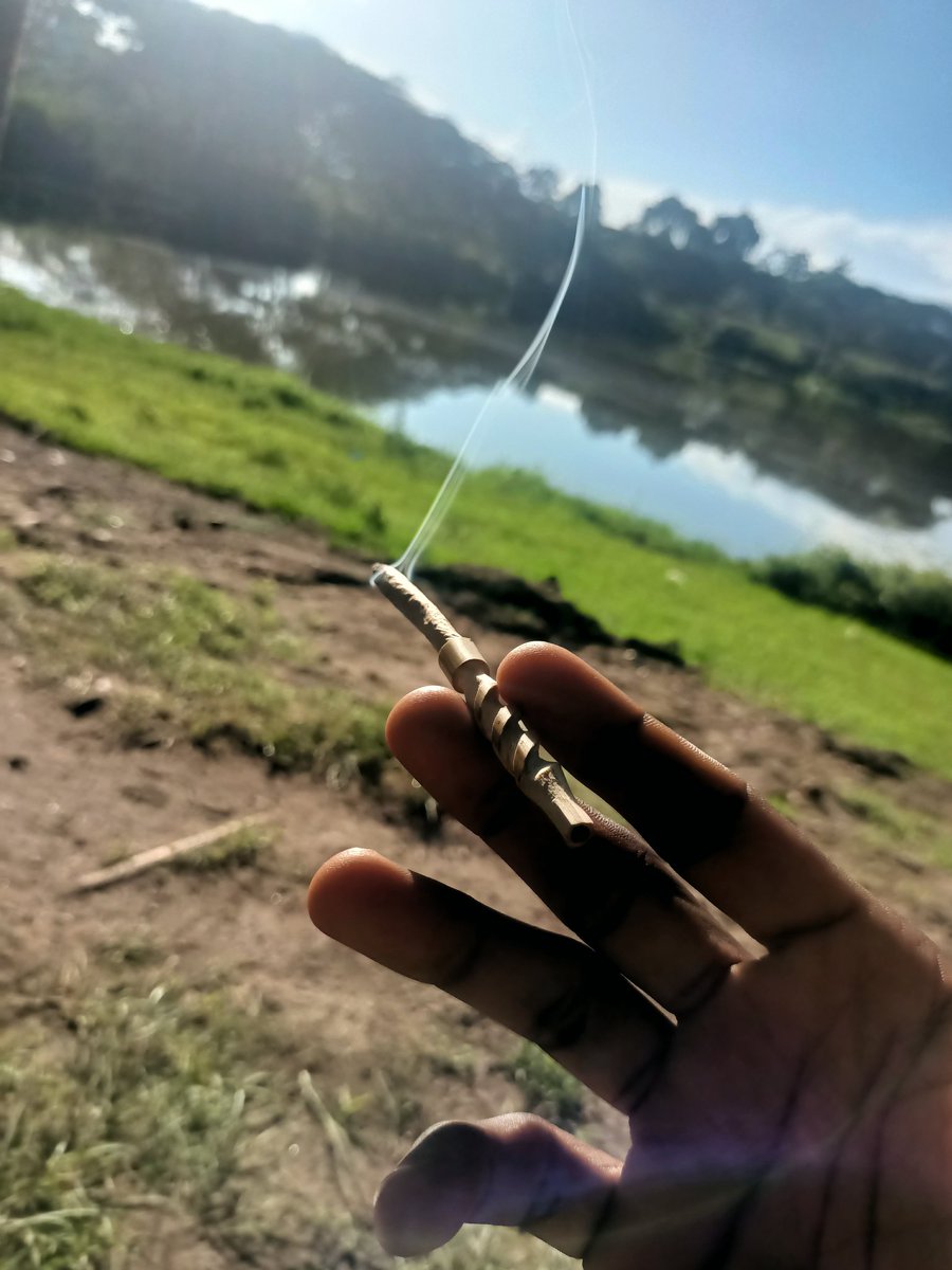 it's 420 somewhere