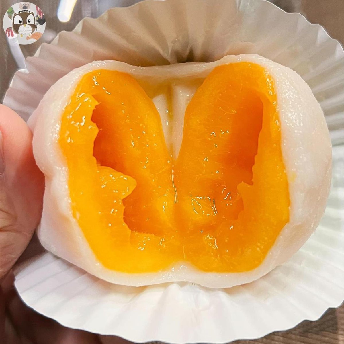 หน้ามะยงชิดที่เรารักกลับมาแล้ววว😍 สิ่งนี้อร่อยมากๆ รอคอยทุกปี มะยงชิดไดฟุกุจากร้าน cocokup น้องเป็นไดฟุกุก้อนใหญ่ๆ ยัดไส้มะยงชิดสดๆทั้งลูก แป้งนู่มมม กินตอนแช่เย็นเจี๊ยบ อย่างฟิน~ <a href="/aroii/">@aroii บอกต่อ</a>