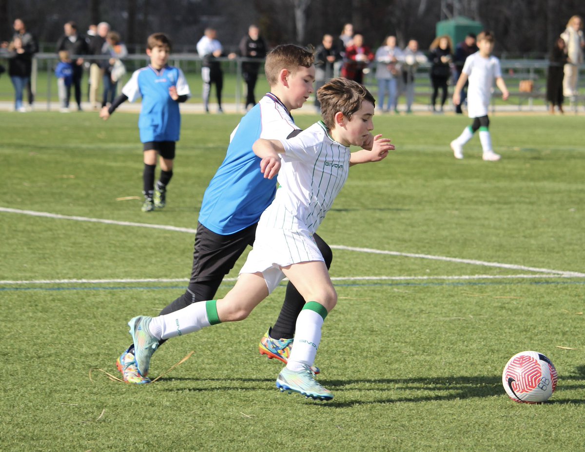 Cantera_CCF's tweet photo. 📑 Resultado #CanteraCCF ⤵️

🆚 Gran victoria del #BenjaminBCCF ante el Fray Albino https://t.co/lreVYbQ19h