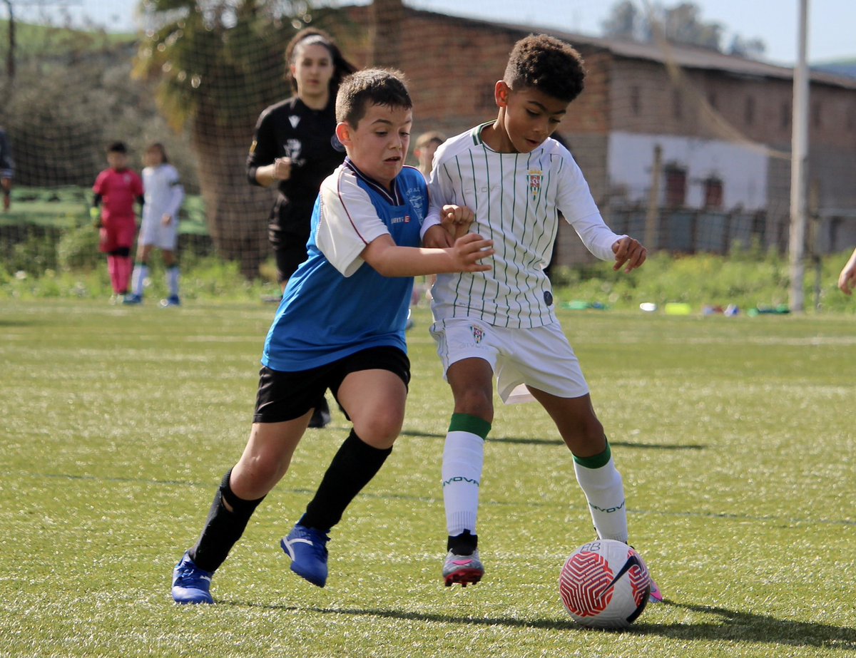 Cantera_CCF's tweet photo. 📑 Resultado #CanteraCCF ⤵️

🆚 Gran victoria del #BenjaminBCCF ante el Fray Albino https://t.co/lreVYbQ19h