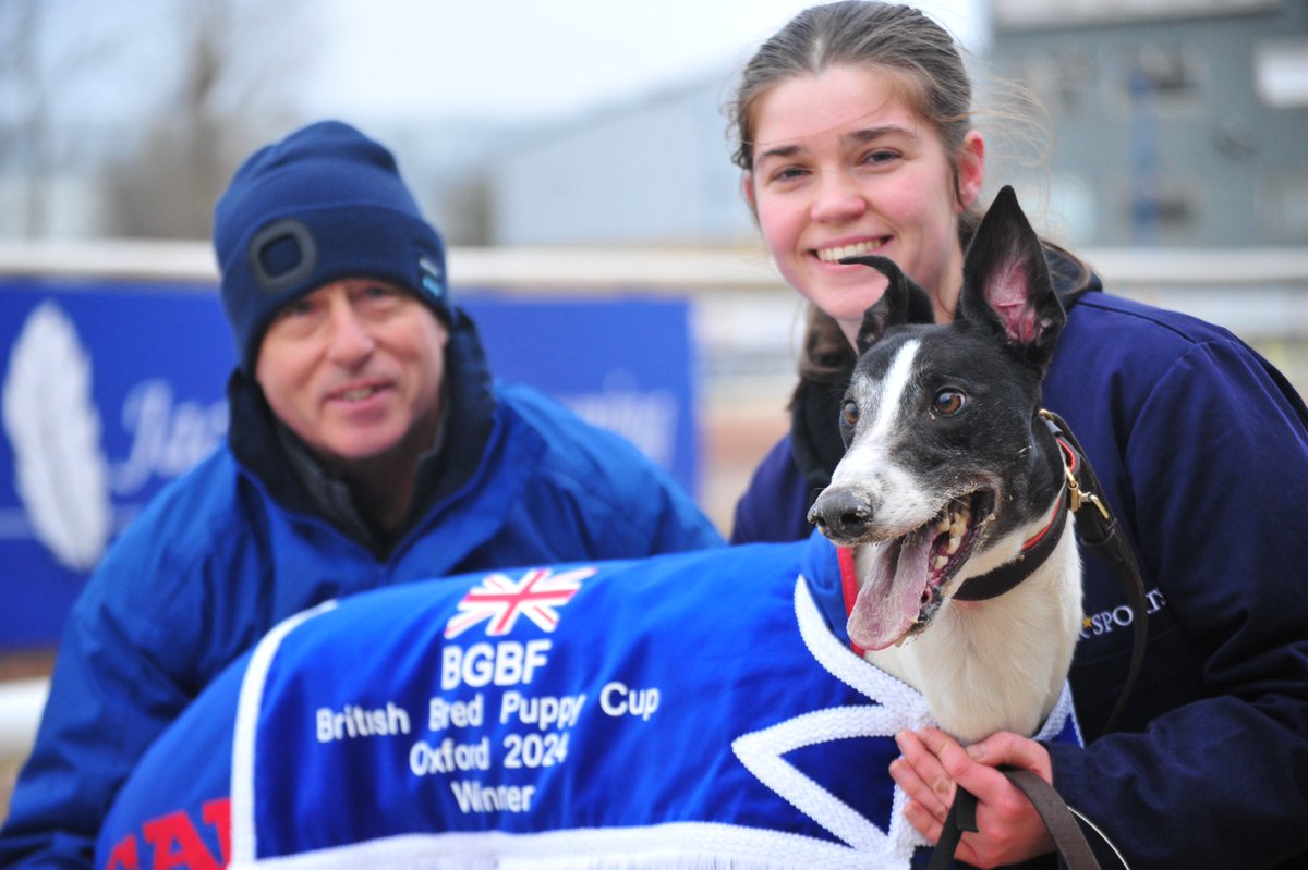 @PhilMilner CHAMPION 🏆 One for Team Mullins who land the BGBF British Bred Puppy Cup with Romeo Cypher 👏 One to keep an eye on for the future 👀 #OxfordStadium 🏟️