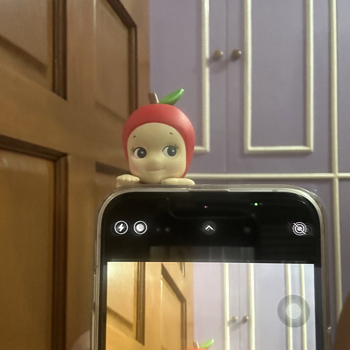 doyujgh's tweet photo. [ #doyujgh  🏡 ] 

thank you for letting me adopt your apple hipper @shujiscart ! ✩₊˚.⋆☾⋆⁺₊✧

#fromshuji https://t.co/L60GiDJcoQ