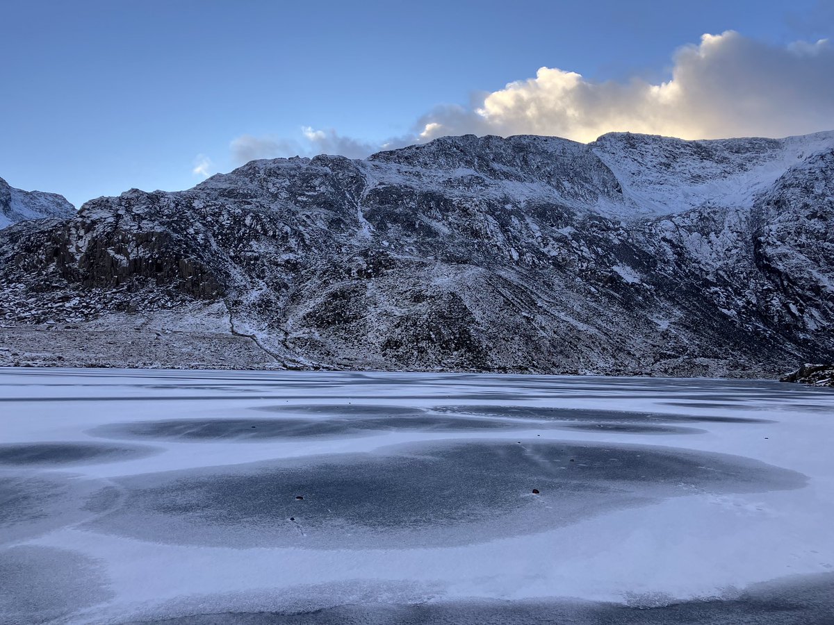 Dylan Williams tweet media