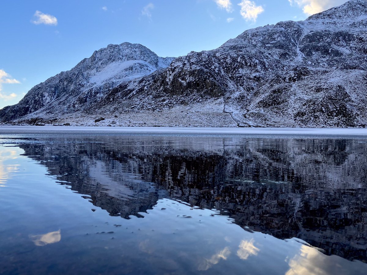 Dylan Williams tweet media