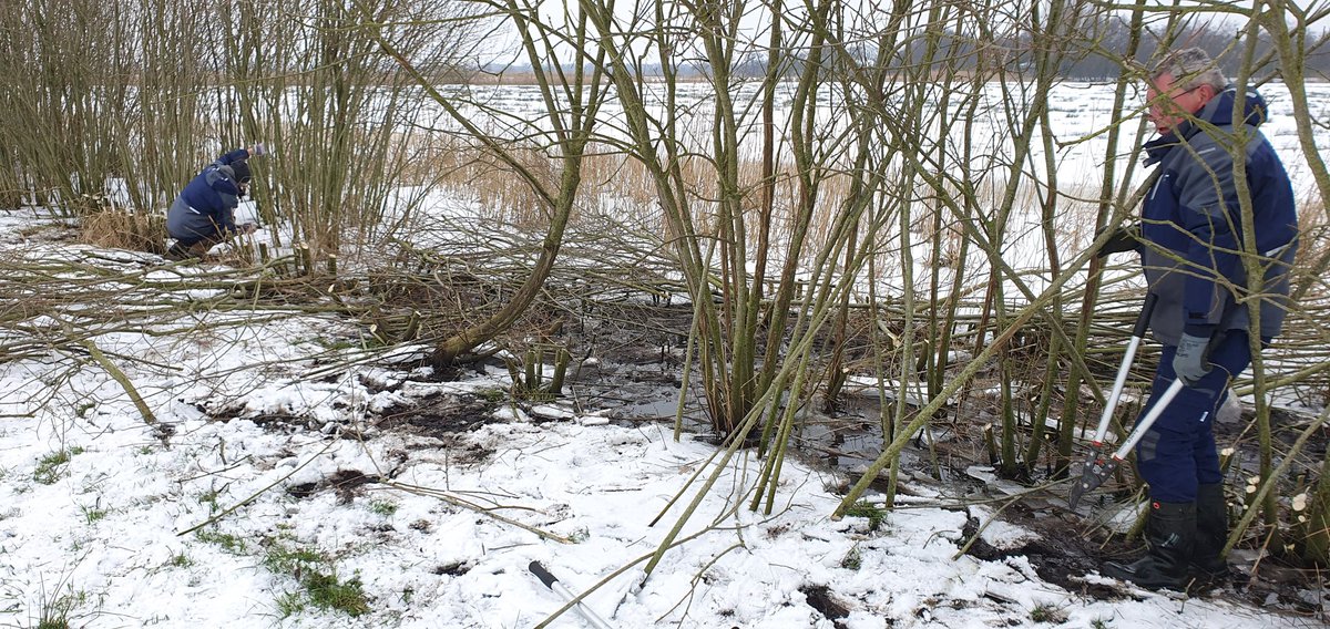 Bert Speelman (@speelmanbert) on Twitter photo Prima winterse omstandigheden tijdens de werkzaamheden van de Groene Buitenmedewerkers Lettelberterpetten.
Openheid hersteld in ons veenweidelandschap.
#Westerkwartier <a href="/GR_Landschap/">Het Groninger Landschap</a> Prima winterse omstandigheden tijdens de werkzaamheden van de Groene Buitenmedewerkers Lettelberterpetten.
Openheid hersteld in ons veenweidelandschap.
#Westerkwartier <a href="/GR_Landschap/">Het Groninger Landschap</a>