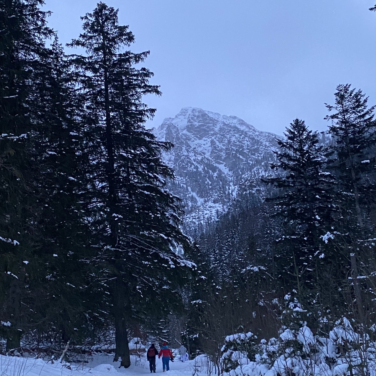 Lenkija… 🗻🌲
Reklamos su Ironvytu ir Stonkuviene, parduotuvių ir desertų pavadinimai, kurių neperskaičiau rimtu veidu, riešutinė Soplica su grietinėle, naked spa, piktnaudžiavimas laktoze, kalnų peizažas ir 12val. kelionę trumpinantys Proto Pemzos vyrukai