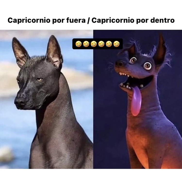 Sí somos 😅🤣