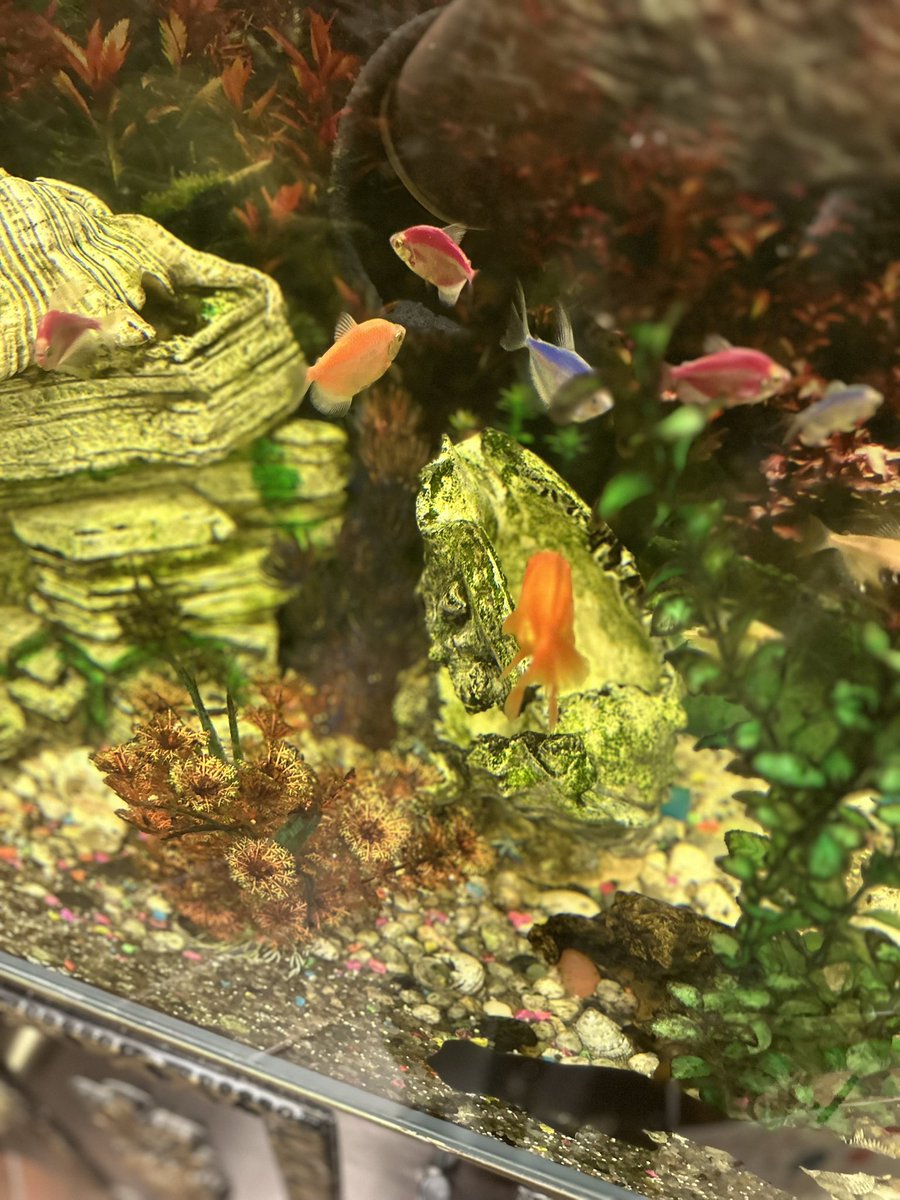 “Beni üzecek gücü sana verdiğim için kendimden özür dilerim.”