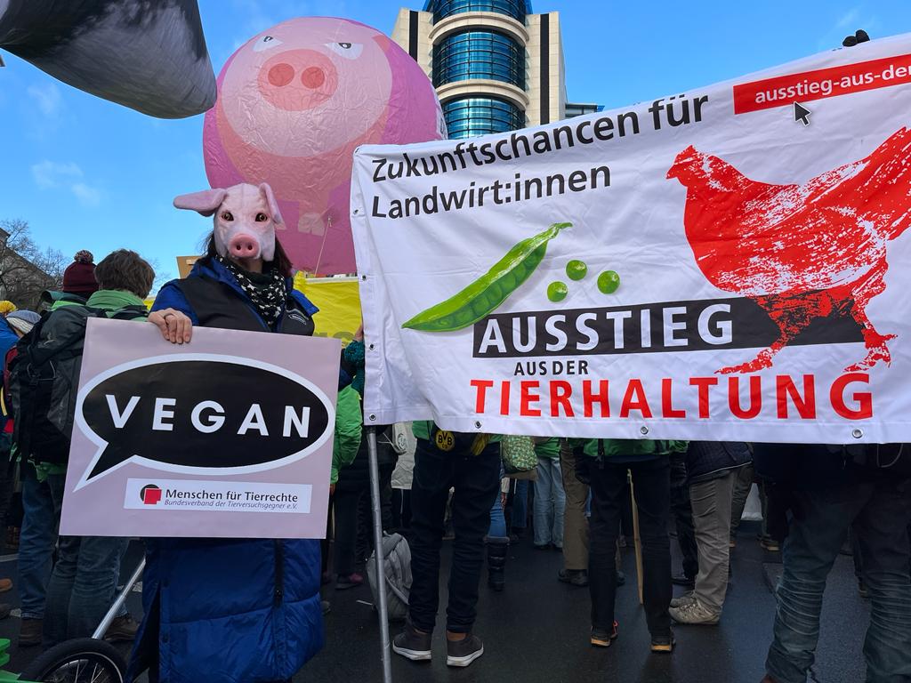 Wir brauchen ein starkes Tierschutzgesetz. WIr brauchen Pflanzenpower statt Tierleid. Heute sind wir in Berlin auf der Demo „Wir haben es satt“ und fordern mit vielen anderen eine Agrar- und Ernährungswende hin zu pflanzlichen Eiweißträgern! #vegan #Tierschutzgesetz #Tierhaltung