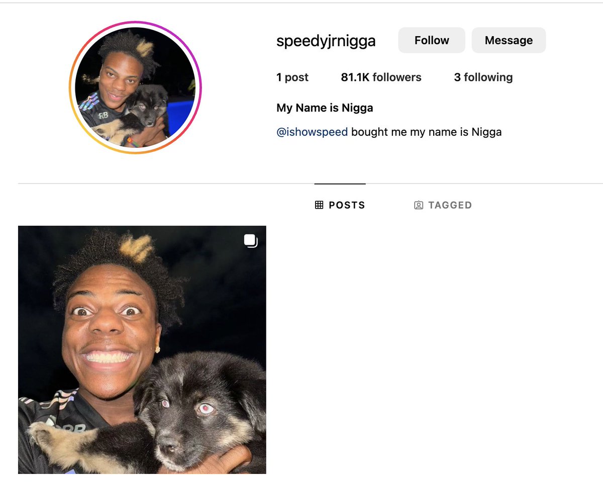 speedsdogsol's tweet photo. I am so close to hitting 100k followers ♥️ 
(I have 5x more followers than master slipz) https://t.co/IWU6OXNROz