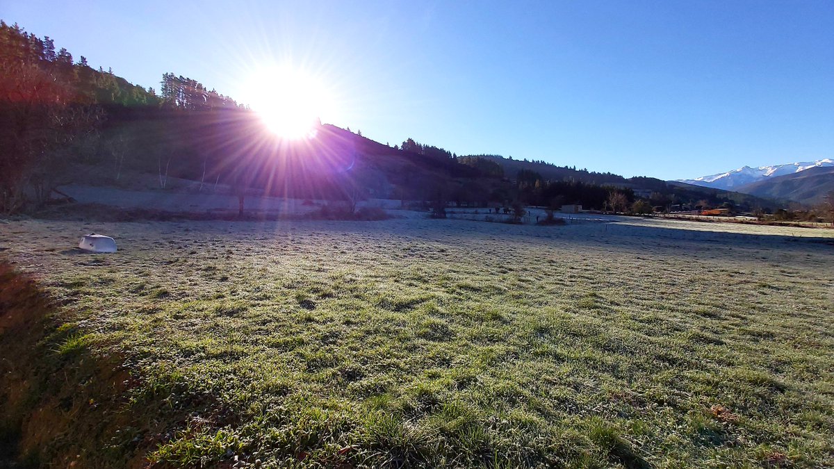 Apez140's tweet image. #Momentos
De un Sol espléndido que se presenta en Aliezo...🧚‍♂️😎