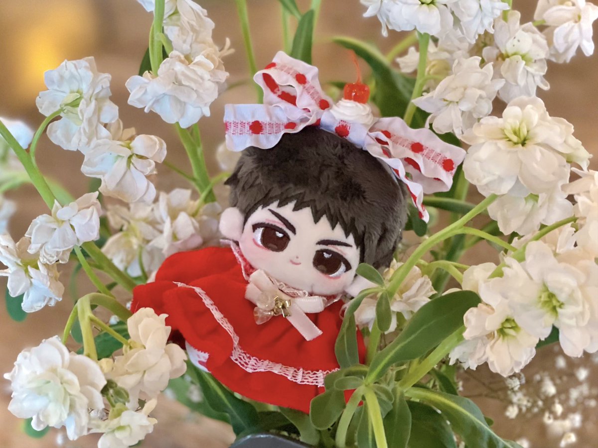 bluee_yeon's tweet photo. #당신의_심장을_녹연네_솜💘
#정뭉만_후기 #삐제과점_후기 
후기 해시를 드디어 써본다! 넘 귀여워요🤤 https://t.co/awcQ3A1BMb