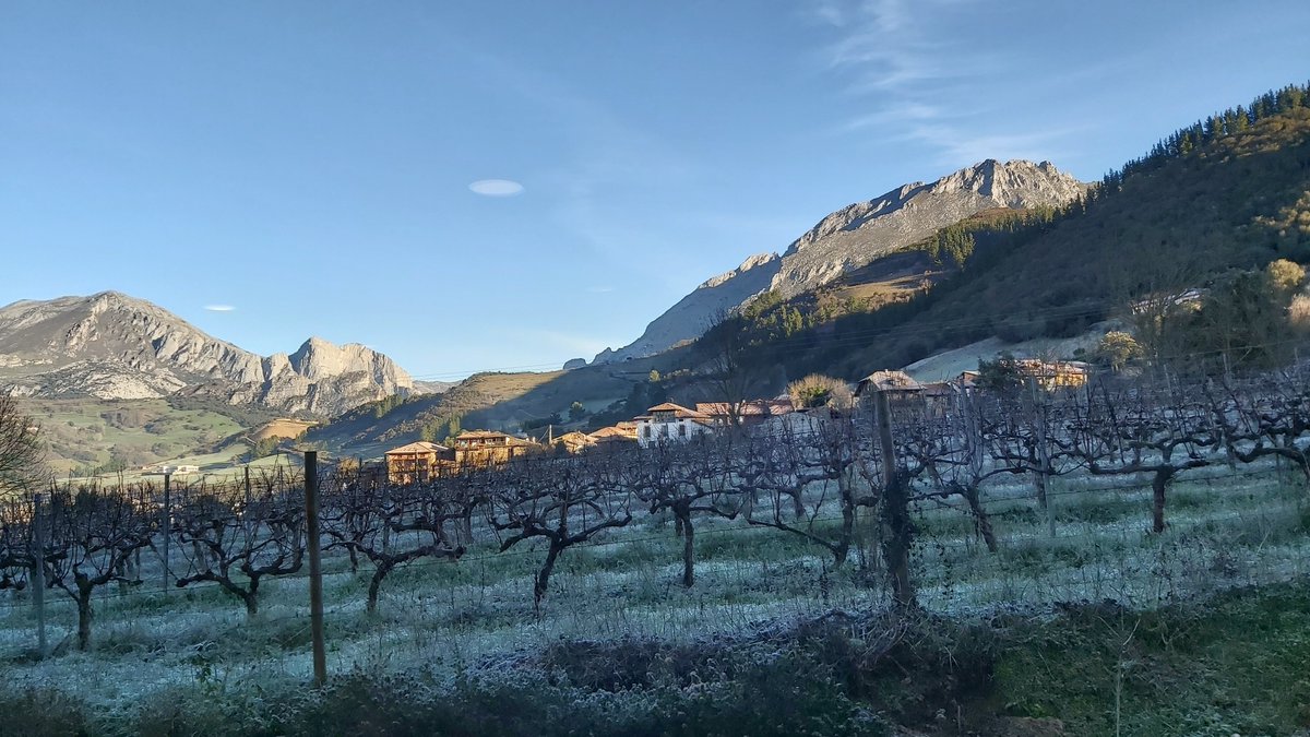 Una fría mañana que calienta el espíritu con sus contrastes...🧚‍♂️😎