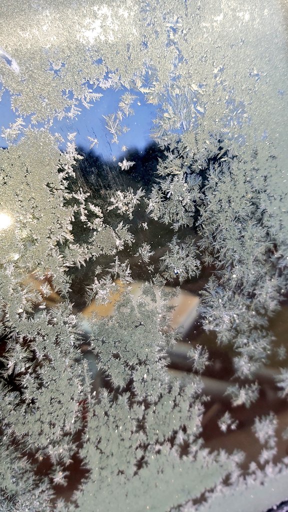 Apez140's tweet image. Cristales de hielo presagio de un maravilloso día en la #Mágica #Liébana...🧚‍♂️😎