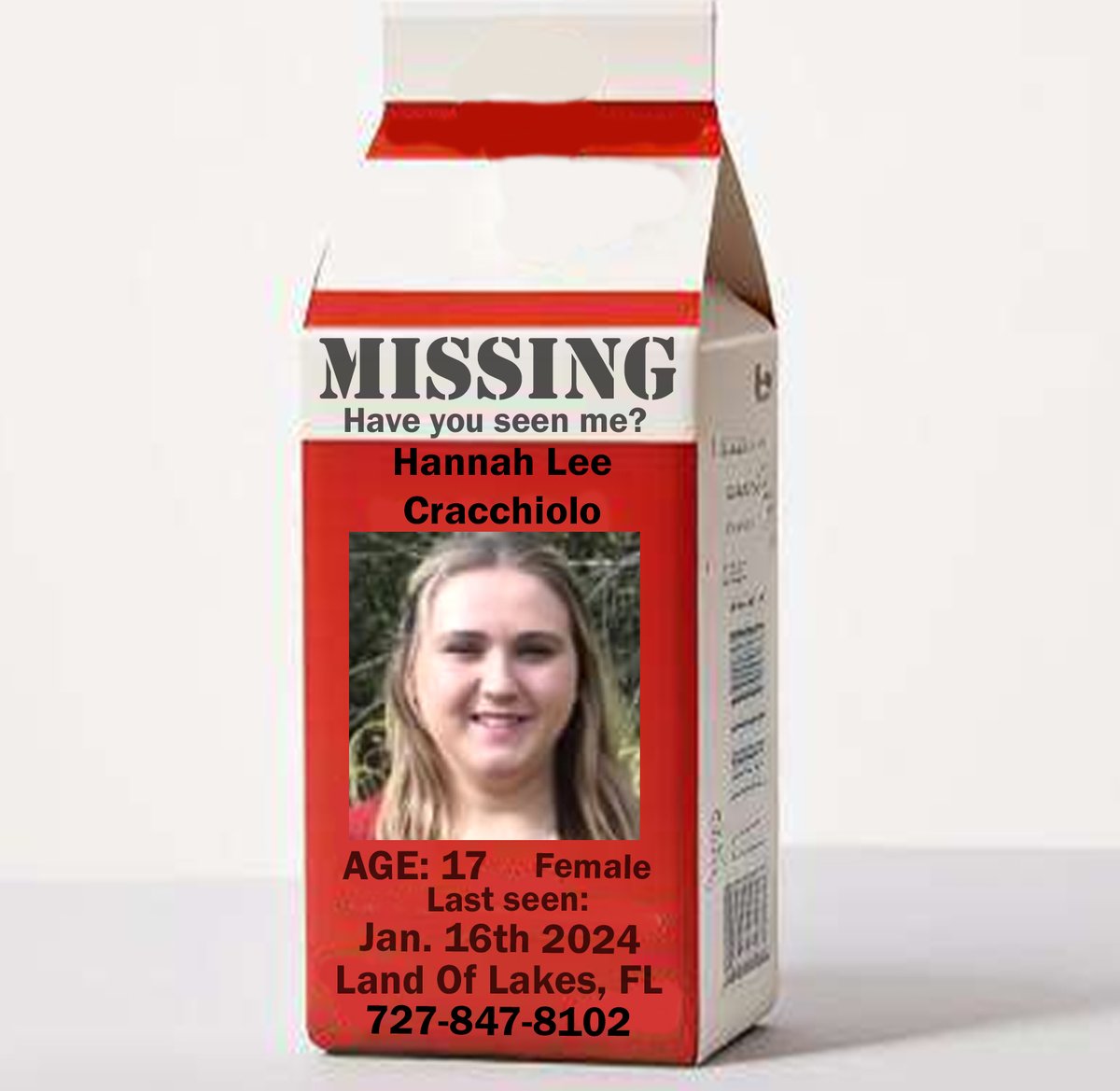 🚨🚨🚨 MISSING CHILD 🚨🚨🚨

Hannah Lee Cracchiolo
Age: 17
Missing Since: 01/16/24
#LandOfLakes, #Florida 

Please Call If You Have Information:

#PascoCounty Sheriff's Office 
1-727-847-8102

#ProjectMilkCarton 
#MissingChildren 
#BringThemHome