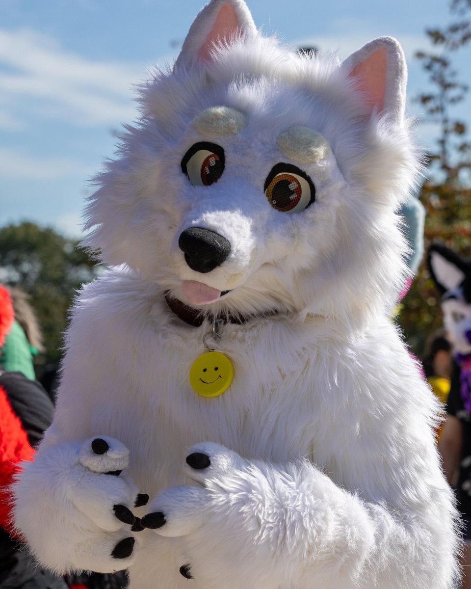 📸: @TouWoof 
#Eurofurence #EF2023