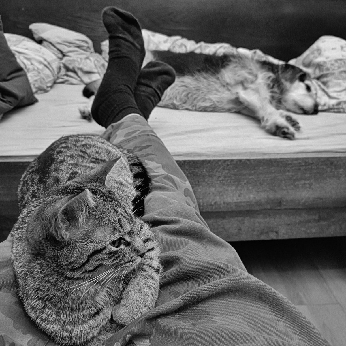 bulut (@trozy0) on Twitter photo 