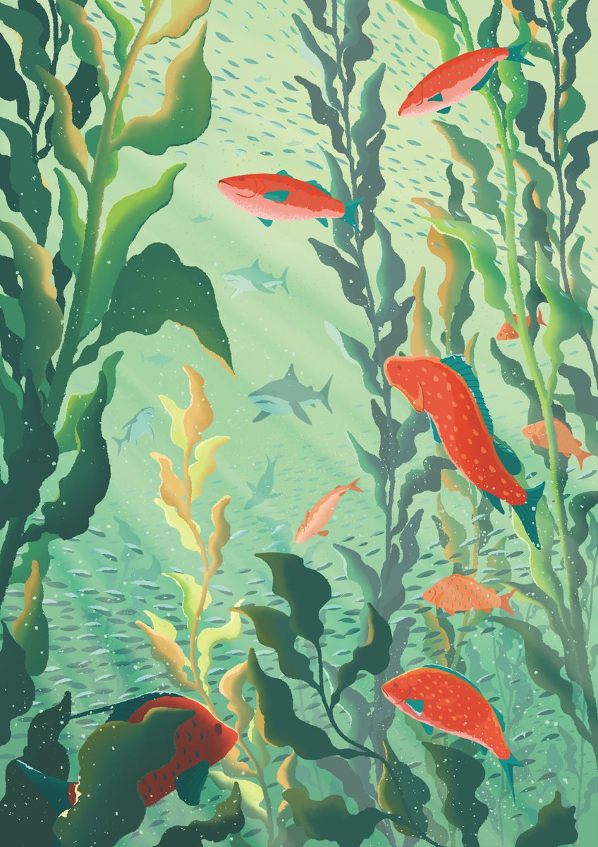 「Colorful fishes 」|Jacek Matysiak 🦛 open for commissionsのイラスト