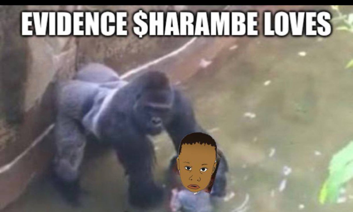 <a href="/Cryptilt/">Johnny 🏴‍☠️ (Skilled Agent Arc)</a> Harambe died so that $Dickerson could live. 

t.me/IsiahDickerson