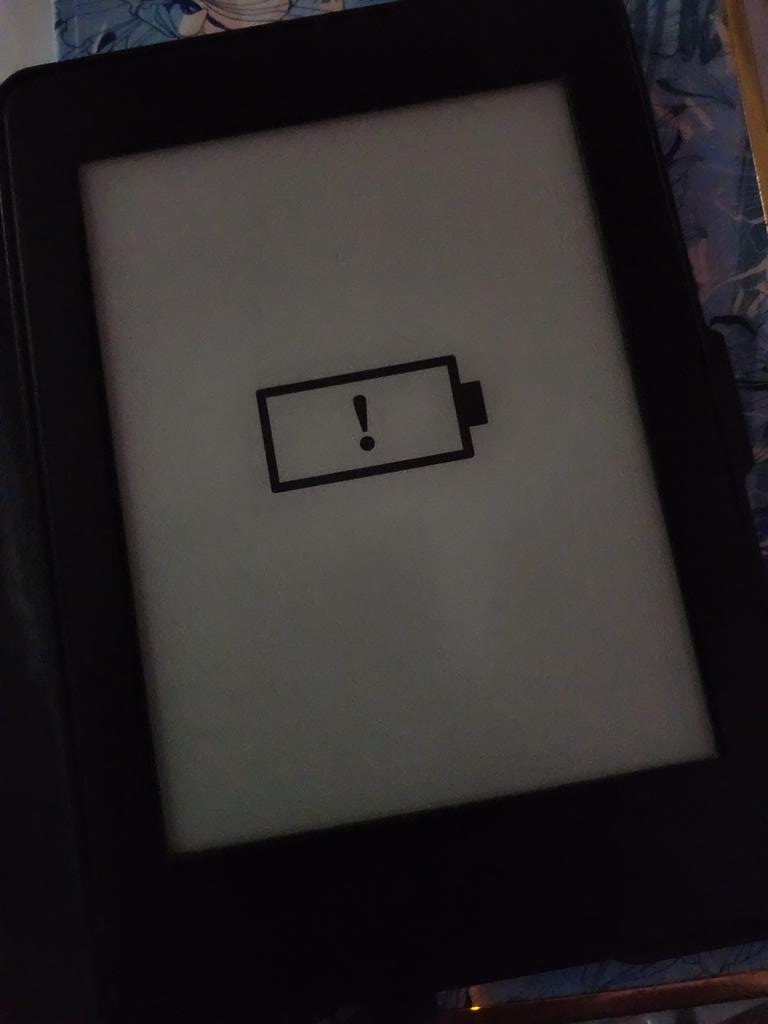 Lost my Kindle charger a while back and finally got a new one. It needs to rest  :(